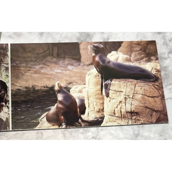 Sea World Postcard Mini Photos Booklet Vintage 70s San Diego CA 7 Postcards - Picture 9 of 12